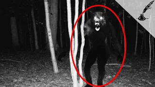 5 Darkest Cases of Real Werewolves in History