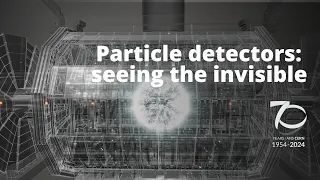 Particle detectors: seeing the invisible