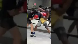 (LEAK) Shakur Stevenson “HURT” Liam Paro SPARRING LEAKED by Shakur to Debunk the RUMORS