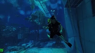 Dive School - NBL 2018 010128