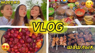 VLOG: маевка/пикник/шашлык🏕😍