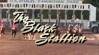 Classic TV Theme: Adventures of the Black Stallion