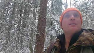 Охота на лося по первому снегу! Не наш размер!