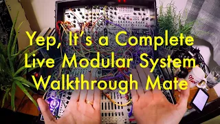 LIVE MODULAR SYNTH WALKTHOUGH