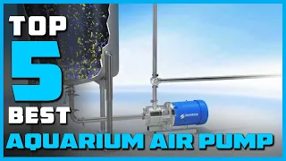 Best Aquarium Air Pumps Buying Guide - Top 5 Review [2023]