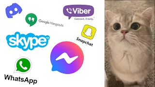 Cute Cat meow but Social Media ringtones