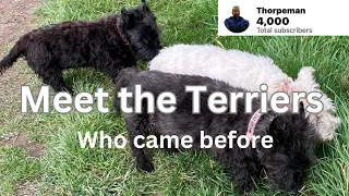 Memories of Wally, Shadow & Carla | Join Thorpeman & the Terriers down Memory Lane