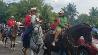 gran desfile de caballos en la pita