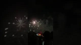 Disneyland fireworks - Circle of life