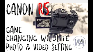 The Essential Wildlife Photography and Videoography Setting for the Canon R5.