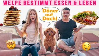 Unser WELPE bestimmt unser ESSEN und LEBEN für 24H 🤯🐶