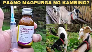 Paano magpurga ng kambing?