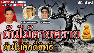 ไม่เชื่อไม่ลบหลู่ | ต้นไม้ตายพราย ต้นไม้ศักดิ์สิทธิ์