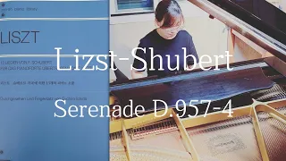 Lizst-Subert , Serenade, Piano/ 리스트- 슈베르트 가곡에 의한 13개의 피아노 소품 중 "세레나데"/간절한 사랑고백 할 때
