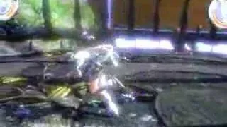 Heavenly Sword Bug - When Fighting With Flying Fox