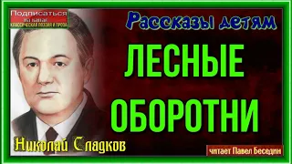 Лесные оборотни —Николай Сладков —читает Павел Беседин