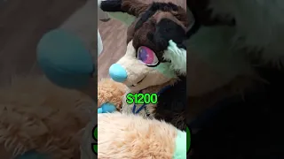 On Average How Expensive are Fur Suits? #furry #fursuit #furryfandom