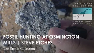 FOSSIL HUNTING AT OSMINGTON MILLS | STEVE ETCHES