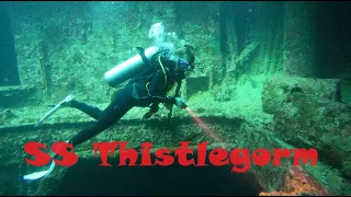 Наш семейный Дайв к рэку Тистлегорм.  Dive to Wrack Thistlegorm, Red Sea.
