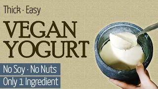 1 Single Ingredient, Easy Thick Vegan Yogurt | Soy Free | Nut Free