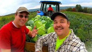 THE SIDE OF VEGETABLE FARMING YOU NEVER SEE