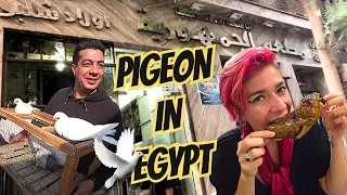 Local Egyptian Delicacy PIGEON | Authentic Food in Cairo | الحمام المحشي و المشوي في مصر