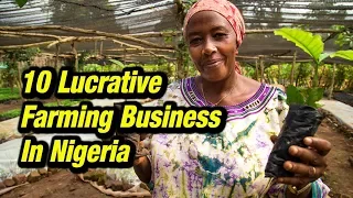 10 Lucrative Farming Business in Nigeria