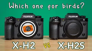 Fujifilm X-H2 vs X-H2S - Which one for Bird Photography?