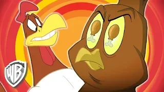 Looney Tunes en Latino | "Quique el gavilán", con el Gallo Claudio | WB Kids