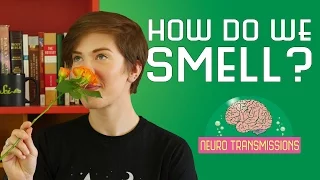 How Do We Smell?