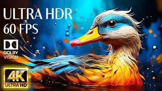 4K HDR 60fps Dolby Vision with Animal Sounds & Soothing Music (Colorful Dynamic) #4