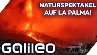 1200 Fussballfelder unter sich begraben! Vulkanausbruch auf La Palma | Galileo | ProSieben |