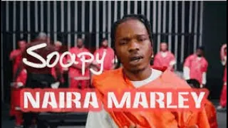 Naira Marley Soapy Karaoke