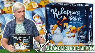 Знакомство с настольной игрой "КОВАРНЫЙ ВОЛК"