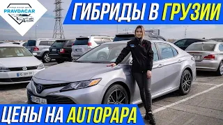 Почём гибриды в Грузии. Цены на гибриды на авторынке Autopapa.