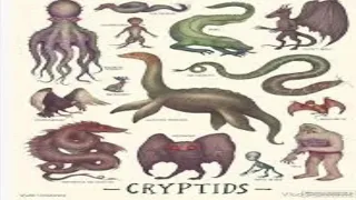 The 10 Types Of Cryptids