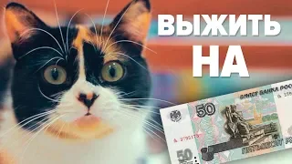 КАК ПРОЖИТЬ ЦЕЛЫЙ ДЕНЬ - НА 50 РУБЛЕЙ? SLIVKI SHOW ПРОВЕРКА!