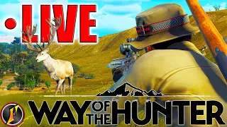 Matariki Park Story Missions! +| Hunting "Ghost"??? | Way of the Hunter | LIVE