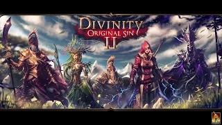 Divinity Original Sin 2 - Summoning And Polymorphing Trailer. 1080p