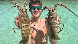 ''How to Catch MONSTER Lobster and Savor Every Bite!''