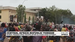Central African Republic Tension: Russia, Rwanda send troops after alleged coup attempt