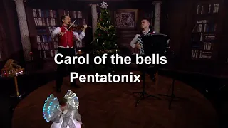 Carol of the bells. Pentatonix. Violin & Accordion cover.  Mykola Leontovich  Schedryk.