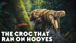 The Croc That Ran on Hooves