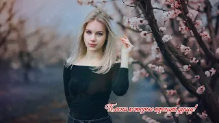 шансон для души - Слушаешь и душой отдыхаешь! Послушайте!!!