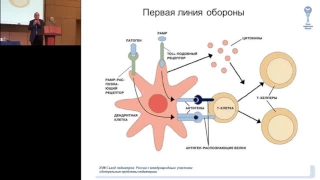 18.02.2017 - Вакцинация против гриппа - сольная партия или дуэт? Новая постановка классической пьесы