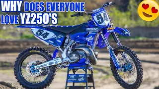 Why does everyone love Yamaha YZ250 2-Stokes?