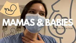 FIRST WEEK OF OBGYN (OMGGG) | Rachel Southard