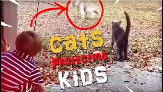 INSPIRATIONAL !! Cats protecting babies and owners away from danger