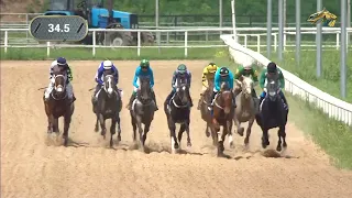 7-я Скачка. ПРИЗ АНАЛОГИЧНОЙ (1000 Guineas) Гр.2 Краснодарский ипподром 27.05.2023