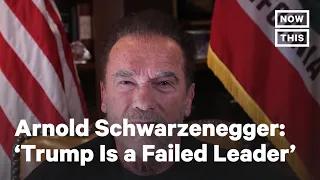 Arnold Schwarzenegger Compares MAGA Rioters to Nazis